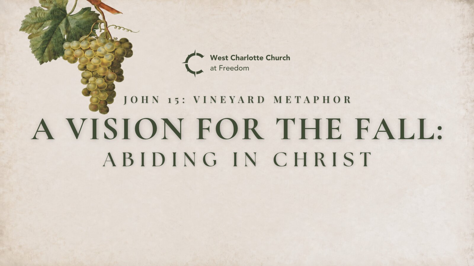 A Vision for the Fall: Abiding in Christ sermon graphic with a vineyard